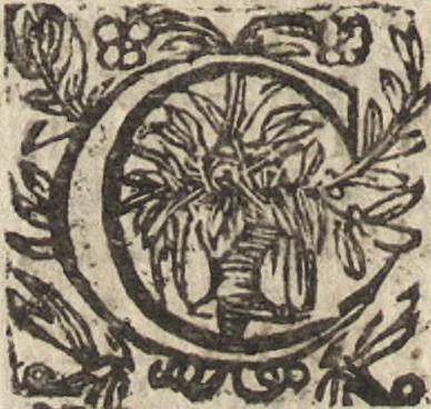 An illustration from Le commentaire royal, ou, L'histoire des Yncas, roys du Peru : contenant leur origine, depuis le premier Ynca Manco Capac, leur establissement, leur idolatrie, leurs sacrifices, leurs vies, leurs loix, leur gouuernement en paix & en guerre ... : ensemble vne descriptton particuliere des animaux, des fruicts, des mineraux, des plantes, & des singularitez du païs : oeuure curieuse, & tout à faict necessaire à l'intelligence de l'Histoire des Indes, 1633, leaf 133