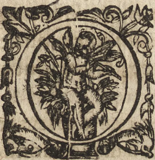 An illustration from Le commentaire royal, ou, L'histoire des Yncas, roys du Peru : contenant leur origine, depuis le premier Ynca Manco Capac, leur establissement, leur idolatrie, leurs sacrifices, leurs vies, leurs loix, leur gouuernement en paix & en guerre ... : ensemble vne descriptton particuliere des animaux, des fruicts, des mineraux, des plantes, & des singularitez du païs : oeuure curieuse, & tout à faict necessaire à l'intelligence de l'Histoire des Indes, 1633, leaf 138
