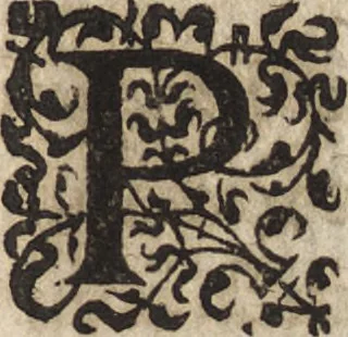 An illustration from Le commentaire royal, ou, L'histoire des Yncas, roys du Peru : contenant leur origine, depuis le premier Ynca Manco Capac, leur establissement, leur idolatrie, leurs sacrifices, leurs vies, leurs loix, leur gouuernement en paix & en guerre ... : ensemble vne descriptton particuliere des animaux, des fruicts, des mineraux, des plantes, & des singularitez du païs : oeuure curieuse, & tout à faict necessaire à l'intelligence de l'Histoire des Indes, 1633, leaf 142