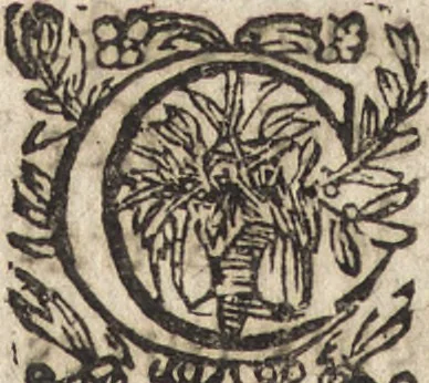 An illustration from Le commentaire royal, ou, L'histoire des Yncas, roys du Peru : contenant leur origine, depuis le premier Ynca Manco Capac, leur establissement, leur idolatrie, leurs sacrifices, leurs vies, leurs loix, leur gouuernement en paix & en guerre ... : ensemble vne descriptton particuliere des animaux, des fruicts, des mineraux, des plantes, & des singularitez du païs : oeuure curieuse, & tout à faict necessaire à l'intelligence de l'Histoire des Indes, 1633, leaf 183