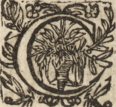An illustration from Le commentaire royal, ou, L'histoire des Yncas, roys du Peru : contenant leur origine, depuis le premier Ynca Manco Capac, leur establissement, leur idolatrie, leurs sacrifices, leurs vies, leurs loix, leur gouuernement en paix & en guerre ... : ensemble vne descriptton particuliere des animaux, des fruicts, des mineraux, des plantes, & des singularitez du païs : oeuure curieuse, & tout à faict necessaire à l'intelligence de l'Histoire des Indes, 1633, leaf 198