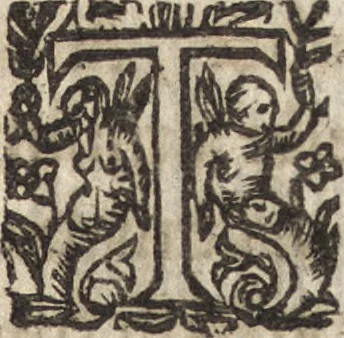 An illustration from Le commentaire royal, ou, L'histoire des Yncas, roys du Peru : contenant leur origine, depuis le premier Ynca Manco Capac, leur establissement, leur idolatrie, leurs sacrifices, leurs vies, leurs loix, leur gouuernement en paix & en guerre ... : ensemble vne descriptton particuliere des animaux, des fruicts, des mineraux, des plantes, & des singularitez du païs : oeuure curieuse, & tout à faict necessaire à l'intelligence de l'Histoire des Indes, 1633, leaf 248