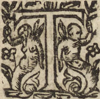 An illustration from Le commentaire royal, ou, L'histoire des Yncas, roys du Peru : contenant leur origine, depuis le premier Ynca Manco Capac, leur establissement, leur idolatrie, leurs sacrifices, leurs vies, leurs loix, leur gouuernement en paix & en guerre ... : ensemble vne descriptton particuliere des animaux, des fruicts, des mineraux, des plantes, & des singularitez du païs : oeuure curieuse, & tout à faict necessaire à l'intelligence de l'Histoire des Indes, 1633, leaf 270