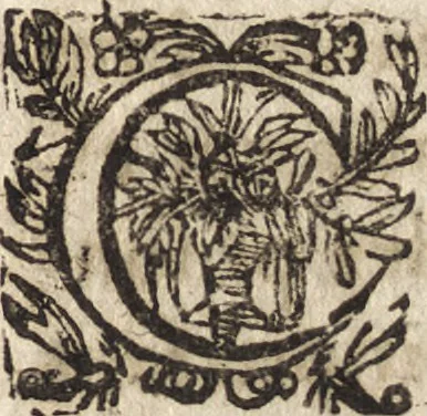 An illustration from Le commentaire royal, ou, L'histoire des Yncas, roys du Peru : contenant leur origine, depuis le premier Ynca Manco Capac, leur establissement, leur idolatrie, leurs sacrifices, leurs vies, leurs loix, leur gouuernement en paix & en guerre ... : ensemble vne descriptton particuliere des animaux, des fruicts, des mineraux, des plantes, & des singularitez du païs : oeuure curieuse, & tout à faict necessaire à l'intelligence de l'Histoire des Indes, 1633, leaf 280