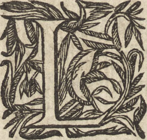An illustration from Le commentaire royal, ou, L'histoire des Yncas, roys du Peru : contenant leur origine, depuis le premier Ynca Manco Capac, leur establissement, leur idolatrie, leurs sacrifices, leurs vies, leurs loix, leur gouuernement en paix & en guerre ... : ensemble vne descriptton particuliere des animaux, des fruicts, des mineraux, des plantes, & des singularitez du païs : oeuure curieuse, & tout à faict necessaire à l'intelligence de l'Histoire des Indes, 1633, leaf 29