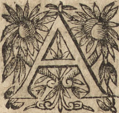 An illustration from Le commentaire royal, ou, L'histoire des Yncas, roys du Peru : contenant leur origine, depuis le premier Ynca Manco Capac, leur establissement, leur idolatrie, leurs sacrifices, leurs vies, leurs loix, leur gouuernement en paix & en guerre ... : ensemble vne descriptton particuliere des animaux, des fruicts, des mineraux, des plantes, & des singularitez du païs : oeuure curieuse, & tout à faict necessaire à l'intelligence de l'Histoire des Indes, 1633, leaf 298