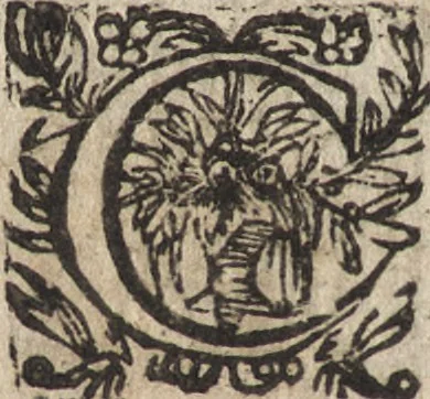 An illustration from Le commentaire royal, ou, L'histoire des Yncas, roys du Peru : contenant leur origine, depuis le premier Ynca Manco Capac, leur establissement, leur idolatrie, leurs sacrifices, leurs vies, leurs loix, leur gouuernement en paix & en guerre ... : ensemble vne descriptton particuliere des animaux, des fruicts, des mineraux, des plantes, & des singularitez du païs : oeuure curieuse, & tout à faict necessaire à l'intelligence de l'Histoire des Indes, 1633, leaf 307