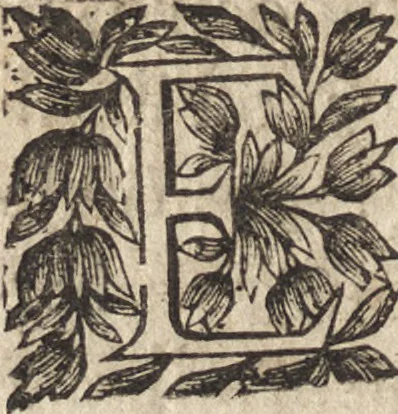An illustration from Le commentaire royal, ou, L'histoire des Yncas, roys du Peru : contenant leur origine, depuis le premier Ynca Manco Capac, leur establissement, leur idolatrie, leurs sacrifices, leurs vies, leurs loix, leur gouuernement en paix & en guerre ... : ensemble vne descriptton particuliere des animaux, des fruicts, des mineraux, des plantes, & des singularitez du païs : oeuure curieuse, & tout à faict necessaire à l'intelligence de l'Histoire des Indes, 1633, leaf 33