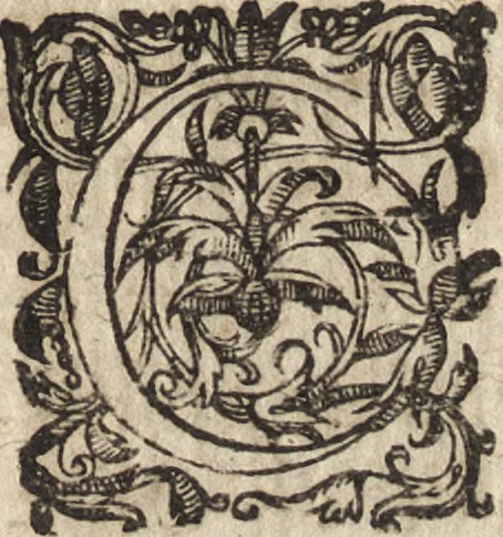 An illustration from Le commentaire royal, ou, L'histoire des Yncas, roys du Peru : contenant leur origine, depuis le premier Ynca Manco Capac, leur establissement, leur idolatrie, leurs sacrifices, leurs vies, leurs loix, leur gouuernement en paix & en guerre ... : ensemble vne descriptton particuliere des animaux, des fruicts, des mineraux, des plantes, & des singularitez du païs : oeuure curieuse, & tout à faict necessaire à l'intelligence de l'Histoire des Indes, 1633, leaf 336
