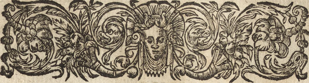 An illustration from Le commentaire royal, ou, L'histoire des Yncas, roys du Peru : contenant leur origine, depuis le premier Ynca Manco Capac, leur establissement, leur idolatrie, leurs sacrifices, leurs vies, leurs loix, leur gouuernement en paix & en guerre ... : ensemble vne descriptton particuliere des animaux, des fruicts, des mineraux, des plantes, & des singularitez du païs : oeuure curieuse, & tout à faict necessaire à l'intelligence de l'Histoire des Indes, 1633, leaf 346
