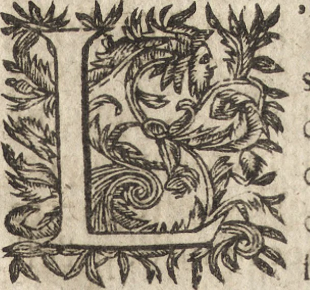 An illustration from Le commentaire royal, ou, L'histoire des Yncas, roys du Peru : contenant leur origine, depuis le premier Ynca Manco Capac, leur establissement, leur idolatrie, leurs sacrifices, leurs vies, leurs loix, leur gouuernement en paix & en guerre ... : ensemble vne descriptton particuliere des animaux, des fruicts, des mineraux, des plantes, & des singularitez du païs : oeuure curieuse, & tout à faict necessaire à l'intelligence de l'Histoire des Indes, 1633, leaf 380
