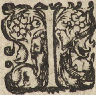 An illustration from Le commentaire royal, ou, L'histoire des Yncas, roys du Peru : contenant leur origine, depuis le premier Ynca Manco Capac, leur establissement, leur idolatrie, leurs sacrifices, leurs vies, leurs loix, leur gouuernement en paix & en guerre ... : ensemble vne descriptton particuliere des animaux, des fruicts, des mineraux, des plantes, & des singularitez du païs : oeuure curieuse, & tout à faict necessaire à l'intelligence de l'Histoire des Indes, 1633, leaf 399