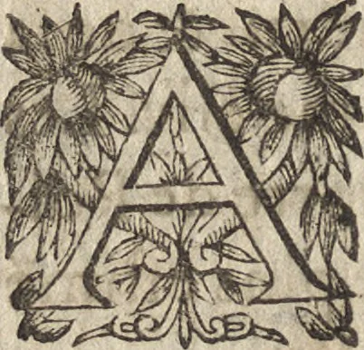 An illustration from Le commentaire royal, ou, L'histoire des Yncas, roys du Peru : contenant leur origine, depuis le premier Ynca Manco Capac, leur establissement, leur idolatrie, leurs sacrifices, leurs vies, leurs loix, leur gouuernement en paix & en guerre ... : ensemble vne descriptton particuliere des animaux, des fruicts, des mineraux, des plantes, & des singularitez du païs : oeuure curieuse, & tout à faict necessaire à l'intelligence de l'Histoire des Indes, 1633, leaf 409
