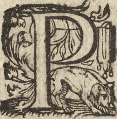 An illustration from Le commentaire royal, ou, L'histoire des Yncas, roys du Peru : contenant leur origine, depuis le premier Ynca Manco Capac, leur establissement, leur idolatrie, leurs sacrifices, leurs vies, leurs loix, leur gouuernement en paix & en guerre ... : ensemble vne descriptton particuliere des animaux, des fruicts, des mineraux, des plantes, & des singularitez du païs : oeuure curieuse, & tout à faict necessaire à l'intelligence de l'Histoire des Indes, 1633, leaf 413