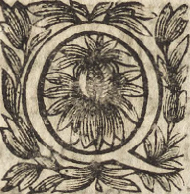 An illustration from Le commentaire royal, ou, L'histoire des Yncas, roys du Peru : contenant leur origine, depuis le premier Ynca Manco Capac, leur establissement, leur idolatrie, leurs sacrifices, leurs vies, leurs loix, leur gouuernement en paix & en guerre ... : ensemble vne descriptton particuliere des animaux, des fruicts, des mineraux, des plantes, & des singularitez du païs : oeuure curieuse, & tout à faict necessaire à l'intelligence de l'Histoire des Indes, 1633, leaf 43