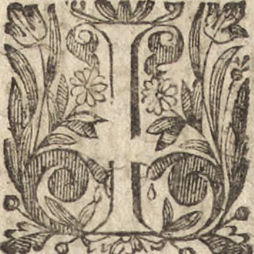 An illustration from Le commentaire royal, ou, L'histoire des Yncas, roys du Peru : contenant leur origine, depuis le premier Ynca Manco Capac, leur establissement, leur idolatrie, leurs sacrifices, leurs vies, leurs loix, leur gouuernement en paix & en guerre ... : ensemble vne descriptton particuliere des animaux, des fruicts, des mineraux, des plantes, & des singularitez du païs : oeuure curieuse, & tout à faict necessaire à l'intelligence de l'Histoire des Indes, 1633, leaf 447