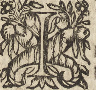 An illustration from Le commentaire royal, ou, L'histoire des Yncas, roys du Peru : contenant leur origine, depuis le premier Ynca Manco Capac, leur establissement, leur idolatrie, leurs sacrifices, leurs vies, leurs loix, leur gouuernement en paix & en guerre ... : ensemble vne descriptton particuliere des animaux, des fruicts, des mineraux, des plantes, & des singularitez du païs : oeuure curieuse, & tout à faict necessaire à l'intelligence de l'Histoire des Indes, 1633, leaf 455