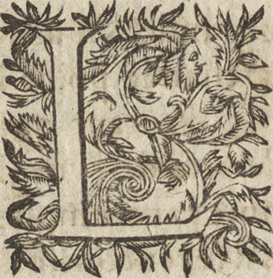 An illustration from Le commentaire royal, ou, L'histoire des Yncas, roys du Peru : contenant leur origine, depuis le premier Ynca Manco Capac, leur establissement, leur idolatrie, leurs sacrifices, leurs vies, leurs loix, leur gouuernement en paix & en guerre ... : ensemble vne descriptton particuliere des animaux, des fruicts, des mineraux, des plantes, & des singularitez du païs : oeuure curieuse, & tout à faict necessaire à l'intelligence de l'Histoire des Indes, 1633, leaf 471