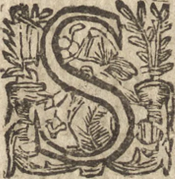 An illustration from Le commentaire royal, ou, L'histoire des Yncas, roys du Peru : contenant leur origine, depuis le premier Ynca Manco Capac, leur establissement, leur idolatrie, leurs sacrifices, leurs vies, leurs loix, leur gouuernement en paix & en guerre ... : ensemble vne descriptton particuliere des animaux, des fruicts, des mineraux, des plantes, & des singularitez du païs : oeuure curieuse, & tout à faict necessaire à l'intelligence de l'Histoire des Indes, 1633, leaf 495