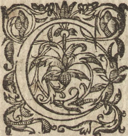 An illustration from Le commentaire royal, ou, L'histoire des Yncas, roys du Peru : contenant leur origine, depuis le premier Ynca Manco Capac, leur establissement, leur idolatrie, leurs sacrifices, leurs vies, leurs loix, leur gouuernement en paix & en guerre ... : ensemble vne descriptton particuliere des animaux, des fruicts, des mineraux, des plantes, & des singularitez du païs : oeuure curieuse, & tout à faict necessaire à l'intelligence de l'Histoire des Indes, 1633, leaf 512