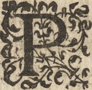 An illustration from Le commentaire royal, ou, L'histoire des Yncas, roys du Peru : contenant leur origine, depuis le premier Ynca Manco Capac, leur establissement, leur idolatrie, leurs sacrifices, leurs vies, leurs loix, leur gouuernement en paix & en guerre ... : ensemble vne descriptton particuliere des animaux, des fruicts, des mineraux, des plantes, & des singularitez du païs : oeuure curieuse, & tout à faict necessaire à l'intelligence de l'Histoire des Indes, 1633, leaf 543