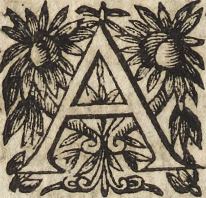 An illustration from Le commentaire royal, ou, L'histoire des Yncas, roys du Peru : contenant leur origine, depuis le premier Ynca Manco Capac, leur establissement, leur idolatrie, leurs sacrifices, leurs vies, leurs loix, leur gouuernement en paix & en guerre ... : ensemble vne descriptton particuliere des animaux, des fruicts, des mineraux, des plantes, & des singularitez du païs : oeuure curieuse, & tout à faict necessaire à l'intelligence de l'Histoire des Indes, 1633, leaf 57