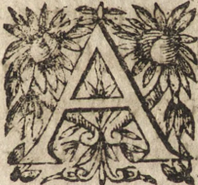 An illustration from Le commentaire royal, ou, L'histoire des Yncas, roys du Peru : contenant leur origine, depuis le premier Ynca Manco Capac, leur establissement, leur idolatrie, leurs sacrifices, leurs vies, leurs loix, leur gouuernement en paix & en guerre ... : ensemble vne descriptton particuliere des animaux, des fruicts, des mineraux, des plantes, & des singularitez du païs : oeuure curieuse, & tout à faict necessaire à l'intelligence de l'Histoire des Indes, 1633, leaf 584