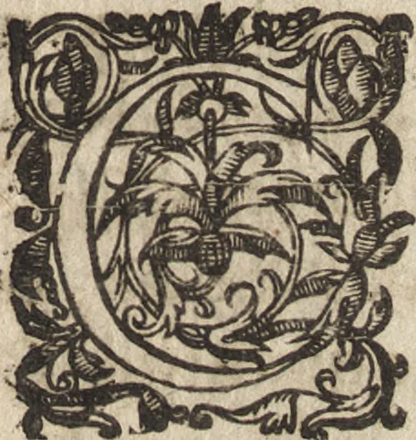 An illustration from Le commentaire royal, ou, L'histoire des Yncas, roys du Peru : contenant leur origine, depuis le premier Ynca Manco Capac, leur establissement, leur idolatrie, leurs sacrifices, leurs vies, leurs loix, leur gouuernement en paix & en guerre ... : ensemble vne descriptton particuliere des animaux, des fruicts, des mineraux, des plantes, & des singularitez du païs : oeuure curieuse, & tout à faict necessaire à l'intelligence de l'Histoire des Indes, 1633, leaf 604