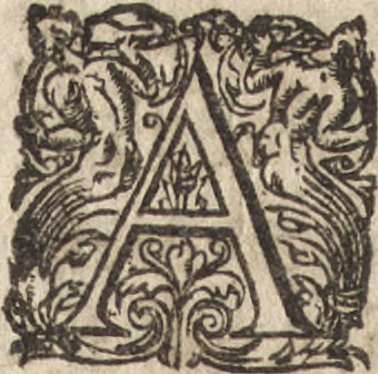 An illustration from Le commentaire royal, ou, L'histoire des Yncas, roys du Peru : contenant leur origine, depuis le premier Ynca Manco Capac, leur establissement, leur idolatrie, leurs sacrifices, leurs vies, leurs loix, leur gouuernement en paix & en guerre ... : ensemble vne descriptton particuliere des animaux, des fruicts, des mineraux, des plantes, & des singularitez du païs : oeuure curieuse, & tout à faict necessaire à l'intelligence de l'Histoire des Indes, 1633, leaf 611