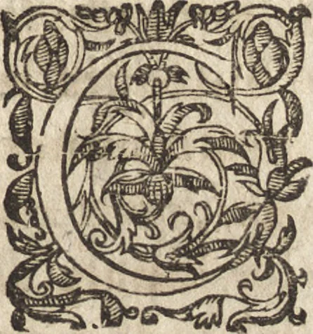 An illustration from Le commentaire royal, ou, L'histoire des Yncas, roys du Peru : contenant leur origine, depuis le premier Ynca Manco Capac, leur establissement, leur idolatrie, leurs sacrifices, leurs vies, leurs loix, leur gouuernement en paix & en guerre ... : ensemble vne descriptton particuliere des animaux, des fruicts, des mineraux, des plantes, & des singularitez du païs : oeuure curieuse, & tout à faict necessaire à l'intelligence de l'Histoire des Indes, 1633, leaf 624