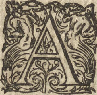 An illustration from Le commentaire royal, ou, L'histoire des Yncas, roys du Peru : contenant leur origine, depuis le premier Ynca Manco Capac, leur establissement, leur idolatrie, leurs sacrifices, leurs vies, leurs loix, leur gouuernement en paix & en guerre ... : ensemble vne descriptton particuliere des animaux, des fruicts, des mineraux, des plantes, & des singularitez du païs : oeuure curieuse, & tout à faict necessaire à l'intelligence de l'Histoire des Indes, 1633, leaf 635