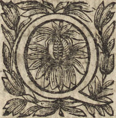 An illustration from Le commentaire royal, ou, L'histoire des Yncas, roys du Peru : contenant leur origine, depuis le premier Ynca Manco Capac, leur establissement, leur idolatrie, leurs sacrifices, leurs vies, leurs loix, leur gouuernement en paix & en guerre ... : ensemble vne descriptton particuliere des animaux, des fruicts, des mineraux, des plantes, & des singularitez du païs : oeuure curieuse, & tout à faict necessaire à l'intelligence de l'Histoire des Indes, 1633, leaf 65
