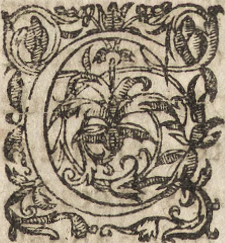 An illustration from Le commentaire royal, ou, L'histoire des Yncas, roys du Peru : contenant leur origine, depuis le premier Ynca Manco Capac, leur establissement, leur idolatrie, leurs sacrifices, leurs vies, leurs loix, leur gouuernement en paix & en guerre ... : ensemble vne descriptton particuliere des animaux, des fruicts, des mineraux, des plantes, & des singularitez du païs : oeuure curieuse, & tout à faict necessaire à l'intelligence de l'Histoire des Indes, 1633, leaf 650