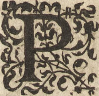 An illustration from Le commentaire royal, ou, L'histoire des Yncas, roys du Peru : contenant leur origine, depuis le premier Ynca Manco Capac, leur establissement, leur idolatrie, leurs sacrifices, leurs vies, leurs loix, leur gouuernement en paix & en guerre ... : ensemble vne descriptton particuliere des animaux, des fruicts, des mineraux, des plantes, & des singularitez du païs : oeuure curieuse, & tout à faict necessaire à l'intelligence de l'Histoire des Indes, 1633, leaf 667