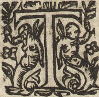 An illustration from Le commentaire royal, ou, L'histoire des Yncas, roys du Peru : contenant leur origine, depuis le premier Ynca Manco Capac, leur establissement, leur idolatrie, leurs sacrifices, leurs vies, leurs loix, leur gouuernement en paix & en guerre ... : ensemble vne descriptton particuliere des animaux, des fruicts, des mineraux, des plantes, & des singularitez du païs : oeuure curieuse, & tout à faict necessaire à l'intelligence de l'Histoire des Indes, 1633, leaf 73
