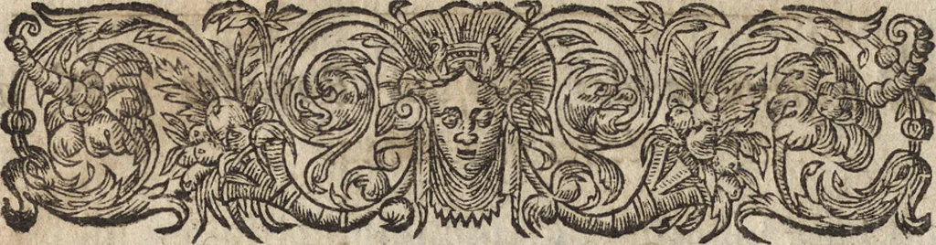An illustration from Le commentaire royal, ou, L'histoire des Yncas, roys du Peru : contenant leur origine, depuis le premier Ynca Manco Capac, leur establissement, leur idolatrie, leurs sacrifices, leurs vies, leurs loix, leur gouuernement en paix & en guerre ... : ensemble vne descriptton particuliere des animaux, des fruicts, des mineraux, des plantes, & des singularitez du païs : oeuure curieuse, & tout à faict necessaire à l'intelligence de l'Histoire des Indes, 1633, leaf 8