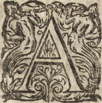 An illustration from Le commentaire royal, ou, L'histoire des Yncas, roys du Peru : contenant leur origine, depuis le premier Ynca Manco Capac, leur establissement, leur idolatrie, leurs sacrifices, leurs vies, leurs loix, leur gouuernement en paix & en guerre ... : ensemble vne descriptton particuliere des animaux, des fruicts, des mineraux, des plantes, & des singularitez du païs : oeuure curieuse, & tout à faict necessaire à l'intelligence de l'Histoire des Indes, 1633, leaf 84