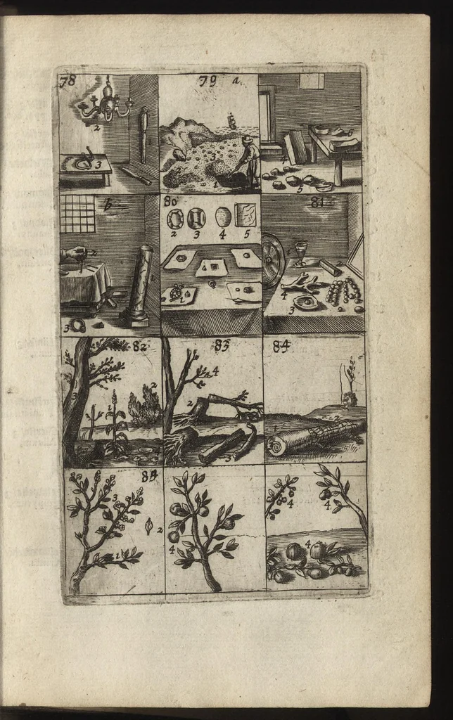 An illustration from Eerste deel der school-geleertheyd, genoemt Het portael : inhoudende de grondtveste der dingen, en onser wijsheyd omtrent de dingen, als mede der latijnschen tael met de moeder-tael ... = Joh. Amos ComenI prima pars Scholasticae eruditionis, dicta vestibulum : continens fundamenta rerum, & nostrae sapientiae circa res, ut & latinae linguae cum vernacula, 1658, leaf 32