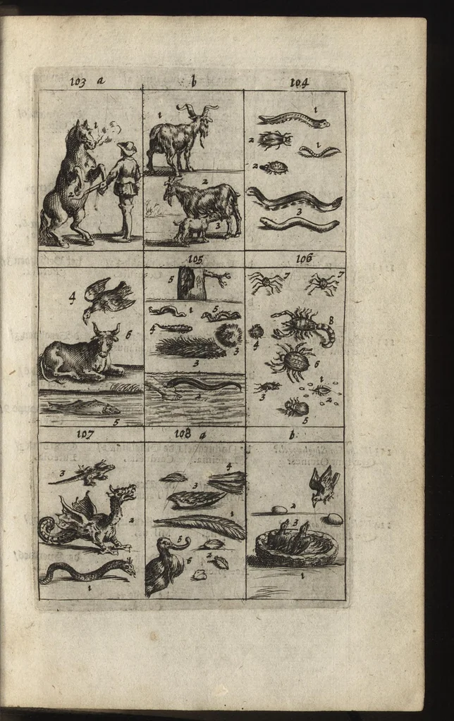 An illustration from Eerste deel der school-geleertheyd, genoemt Het portael : inhoudende de grondtveste der dingen, en onser wijsheyd omtrent de dingen, als mede der latijnschen tael met de moeder-tael ... = Joh. Amos ComenI prima pars Scholasticae eruditionis, dicta vestibulum : continens fundamenta rerum, & nostrae sapientiae circa res, ut & latinae linguae cum vernacula, 1658, leaf 38