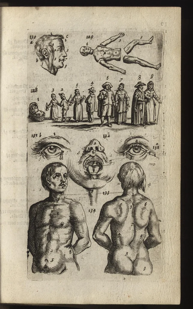 An illustration from Eerste deel der school-geleertheyd, genoemt Het portael : inhoudende de grondtveste der dingen, en onser wijsheyd omtrent de dingen, als mede der latijnschen tael met de moeder-tael ... = Joh. Amos ComenI prima pars Scholasticae eruditionis, dicta vestibulum : continens fundamenta rerum, & nostrae sapientiae circa res, ut & latinae linguae cum vernacula, 1658, leaf 48