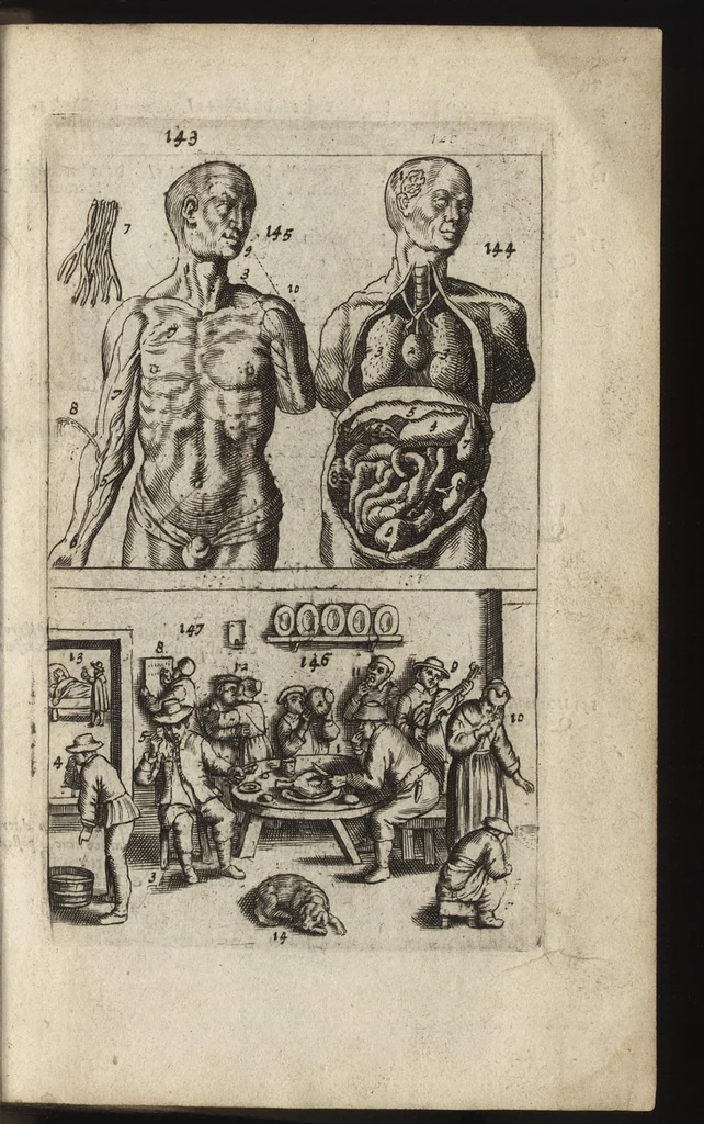 An illustration from Eerste deel der school-geleertheyd, genoemt Het portael : inhoudende de grondtveste der dingen, en onser wijsheyd omtrent de dingen, als mede der latijnschen tael met de moeder-tael ... = Joh. Amos ComenI prima pars Scholasticae eruditionis, dicta vestibulum : continens fundamenta rerum, & nostrae sapientiae circa res, ut & latinae linguae cum vernacula, 1658, leaf 52