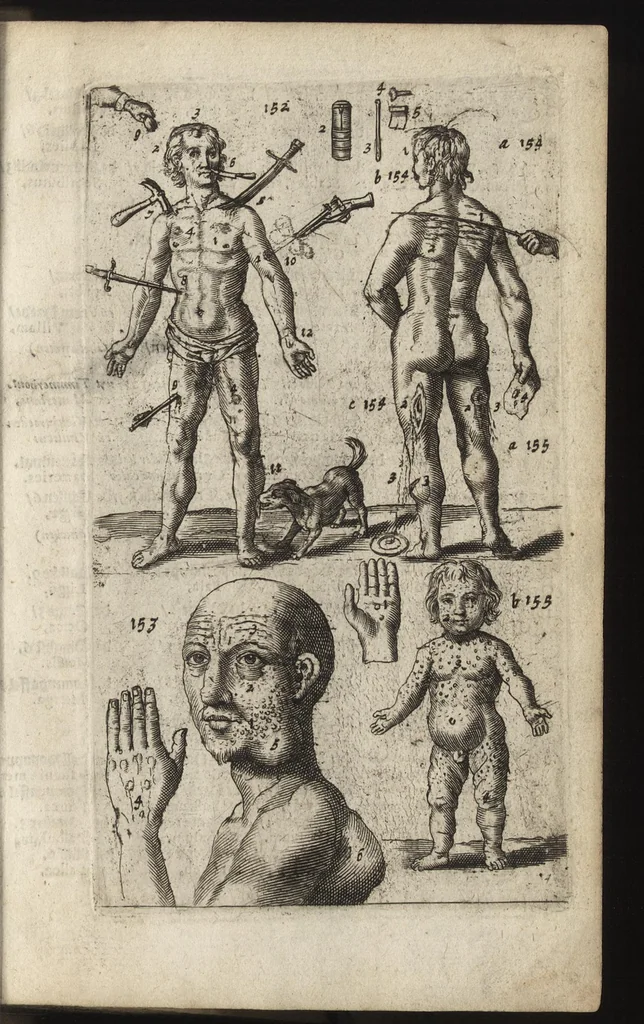 An illustration from Eerste deel der school-geleertheyd, genoemt Het portael : inhoudende de grondtveste der dingen, en onser wijsheyd omtrent de dingen, als mede der latijnschen tael met de moeder-tael ... = Joh. Amos ComenI prima pars Scholasticae eruditionis, dicta vestibulum : continens fundamenta rerum, & nostrae sapientiae circa res, ut & latinae linguae cum vernacula, 1658, leaf 56