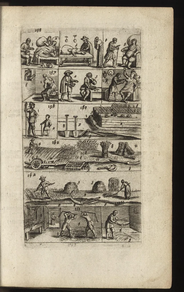An illustration from Eerste deel der school-geleertheyd, genoemt Het portael : inhoudende de grondtveste der dingen, en onser wijsheyd omtrent de dingen, als mede der latijnschen tael met de moeder-tael ... = Joh. Amos ComenI prima pars Scholasticae eruditionis, dicta vestibulum : continens fundamenta rerum, & nostrae sapientiae circa res, ut & latinae linguae cum vernacula, 1658, leaf 58