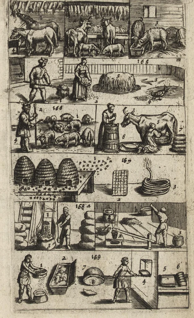 An illustration from Eerste deel der school-geleertheyd, genoemt Het portael : inhoudende de grondtveste der dingen, en onser wijsheyd omtrent de dingen, als mede der latijnschen tael met de moeder-tael ... = Joh. Amos ComenI prima pars Scholasticae eruditionis, dicta vestibulum : continens fundamenta rerum, & nostrae sapientiae circa res, ut & latinae linguae cum vernacula, 1658, leaf 60