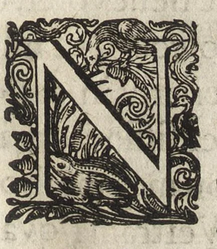 An illustration from Eerste deel der school-geleertheyd, genoemt Het portael : inhoudende de grondtveste der dingen, en onser wijsheyd omtrent de dingen, als mede der latijnschen tael met de moeder-tael ... = Joh. Amos ComenI prima pars Scholasticae eruditionis, dicta vestibulum : continens fundamenta rerum, & nostrae sapientiae circa res, ut & latinae linguae cum vernacula, 1658, leaf 8