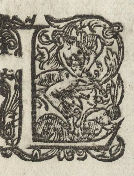 An illustration from Description des arenes ou l'amphitheatre d'Arles, 1665, leaf 14