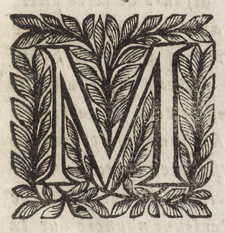 An illustration from Description des arenes ou l'amphitheatre d'Arles, 1665, leaf 8