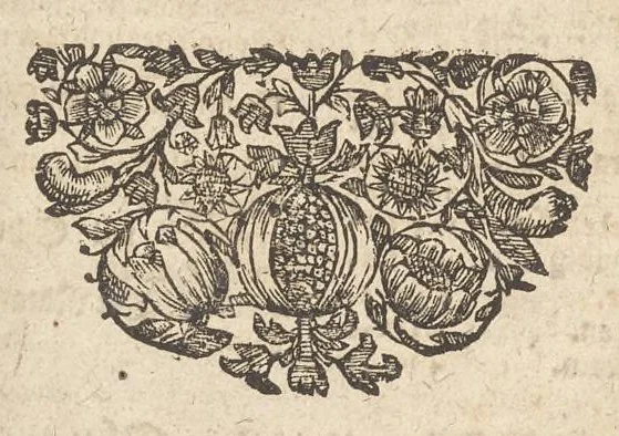 An illustration from Allgemeine Schau-Bühne der Welt, oder, Beschreibung der vornehmsten Welt-Geschichte : so sich vom Anfang dieses Siebenzehenden Jahr-Hunderts biss zum Ende desselben, in allen Theilen des Erd-Kreisses, zumahlen in der Christenheit, sonderlich in unserm Vatterland dem Römischen Reiche, nach und nach begeben : aus beglaubten Geschicht-Schreibern und bewahrten Uhrkunden treulich zusammen getragen, auch zu dess Lesers besserm Unterricht mit verschiedenen politischen Anmerckungen erläutert : ingleichem mit vielen schönen Kupffer-Figuren, auch grosser Potentaten und Herren Bildnüssen gezieret : nicht weniger mit gnugsamen Summarien, Marginalien, und einem vollständigen Register versehen, 1699, leaf 805