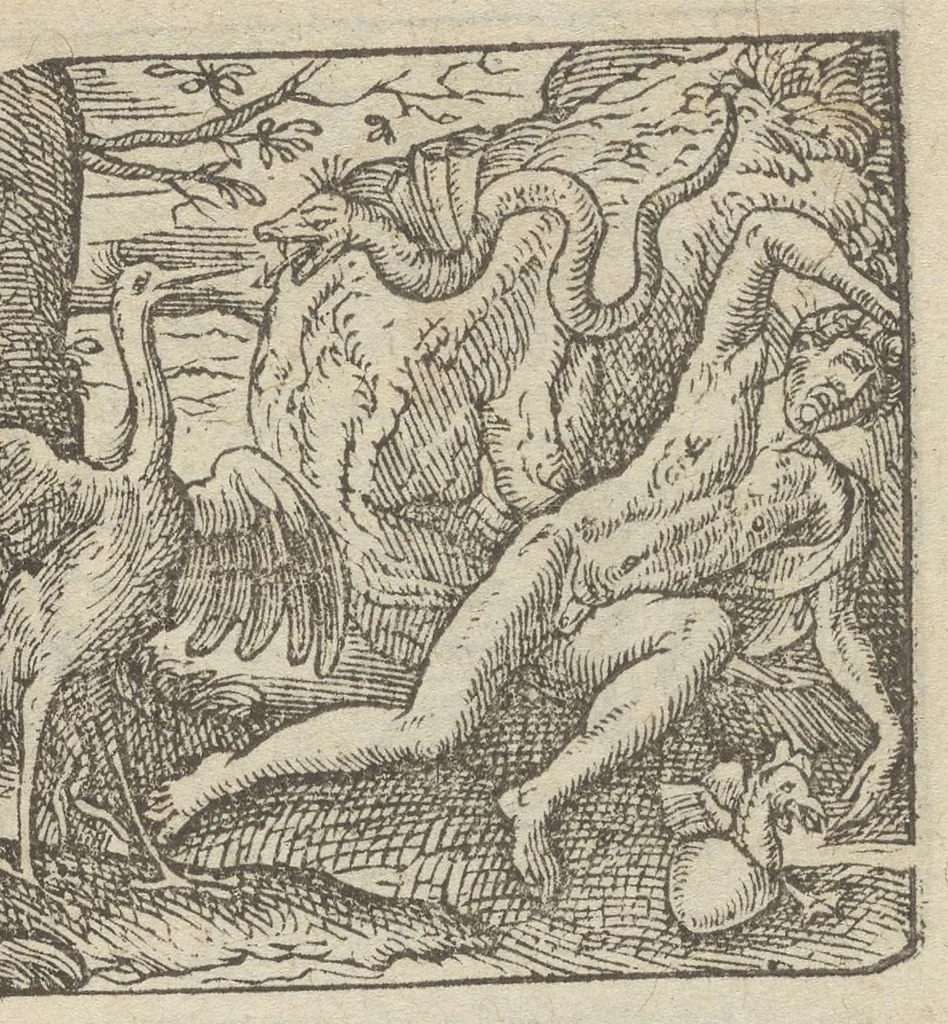 An illustration from Emblemata, et aliqvot nvmmi antiqvi operis, Ioan. Sambvci Tirnaviensis Pannonii, 1576, leaf 18