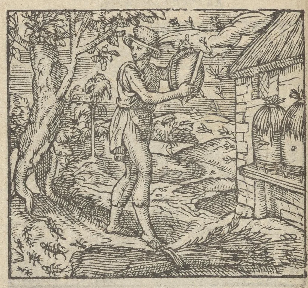 An illustration from Emblemata, et aliqvot nvmmi antiqvi operis, Ioan. Sambvci Tirnaviensis Pannonii, 1576, leaf 23